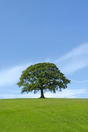 woman meditating in field