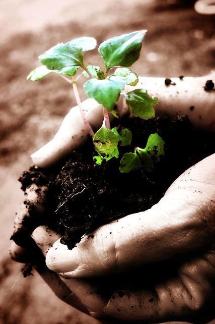 Personal Growth